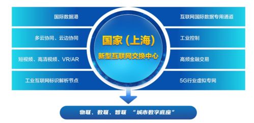 上海新型互聯(lián)網(wǎng)交換中心試點獲批 臨港新片區(qū)迎來數(shù)字基建新引擎